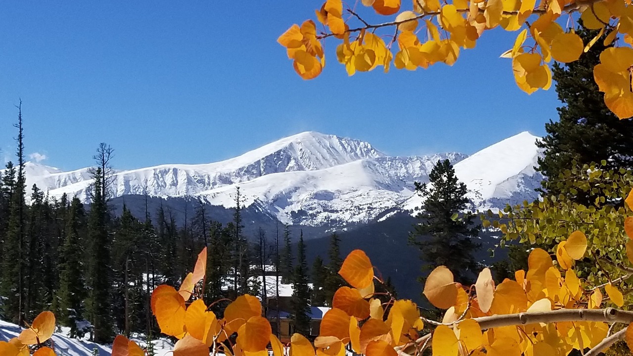 Photo of Others in Peak 9