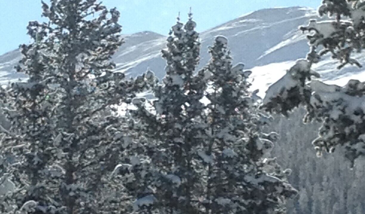 Photo of Others in Quandary Village