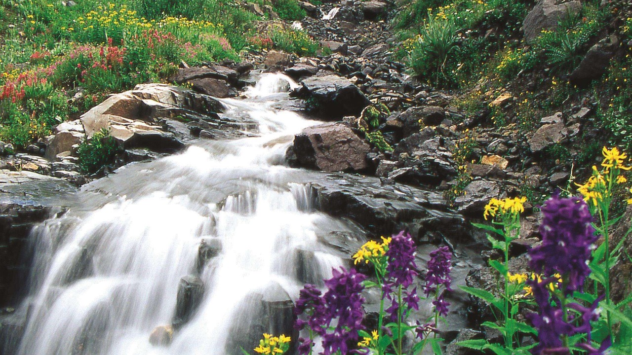 Photo of Outdoor in Mountain Village