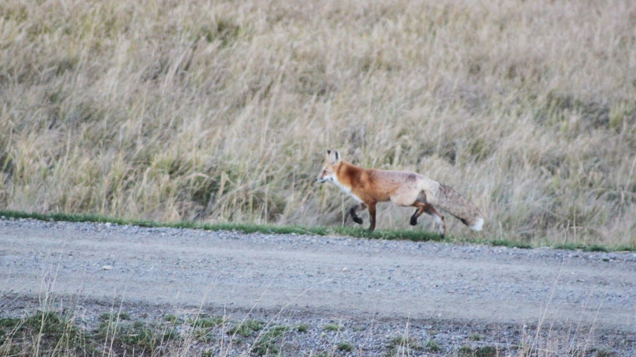 Photo of Others in Gunnison
