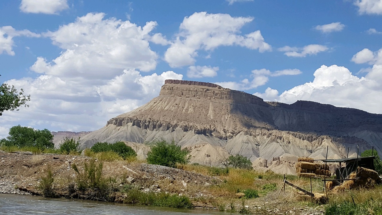Photo of Others in Palisade
