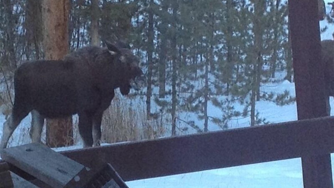 Photo of Others in Breckenridge