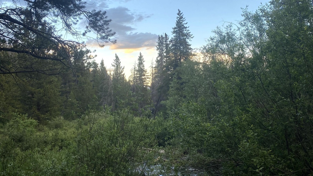 Photo of Outdoor in Warrior's Mark West
