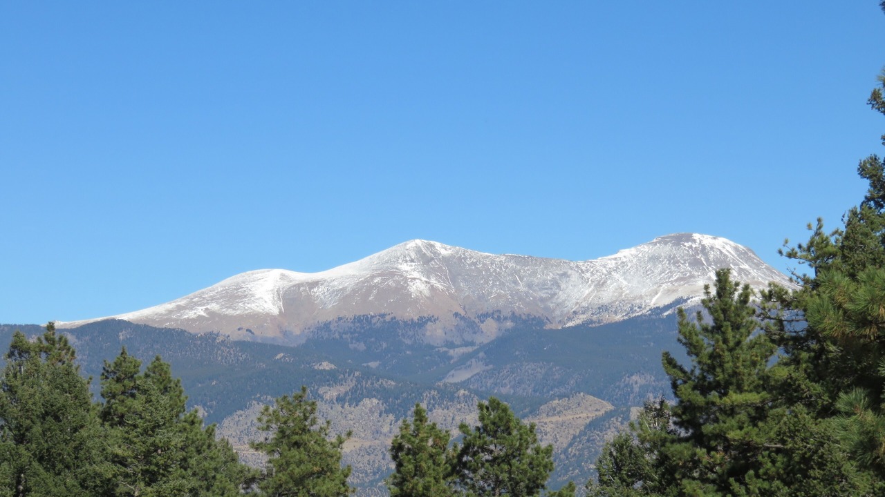 Photo of Others in Buena Vista