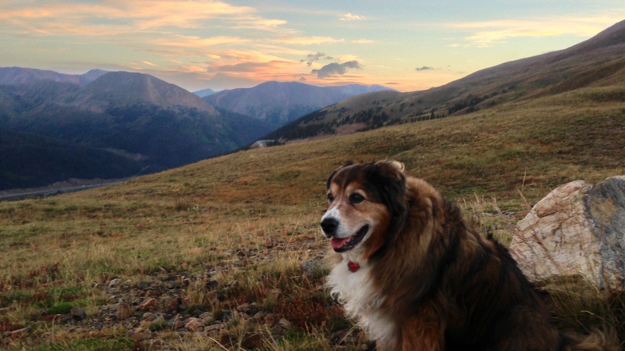 Photo of Others in Keystone