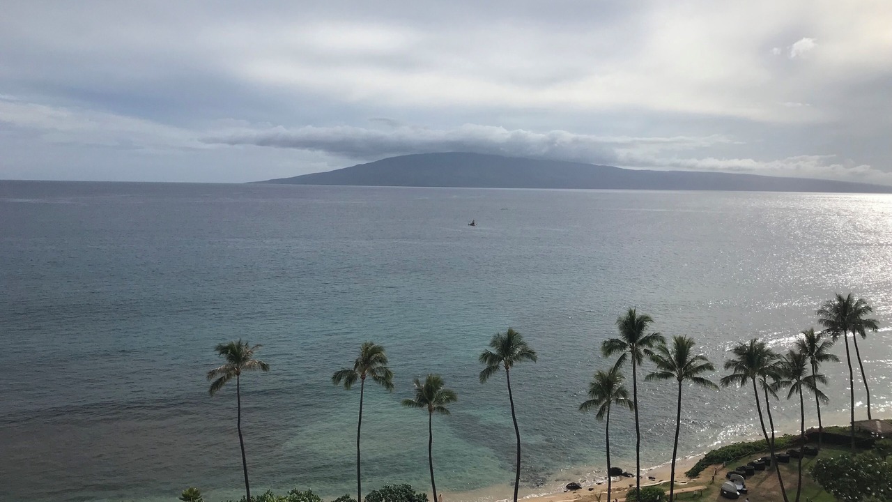 Photo of Others in Honokowai