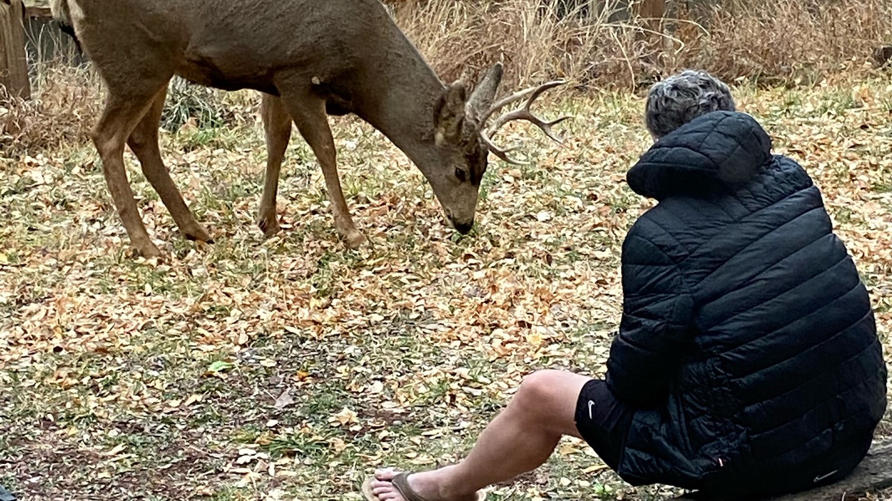 Photo of Others in Ouray