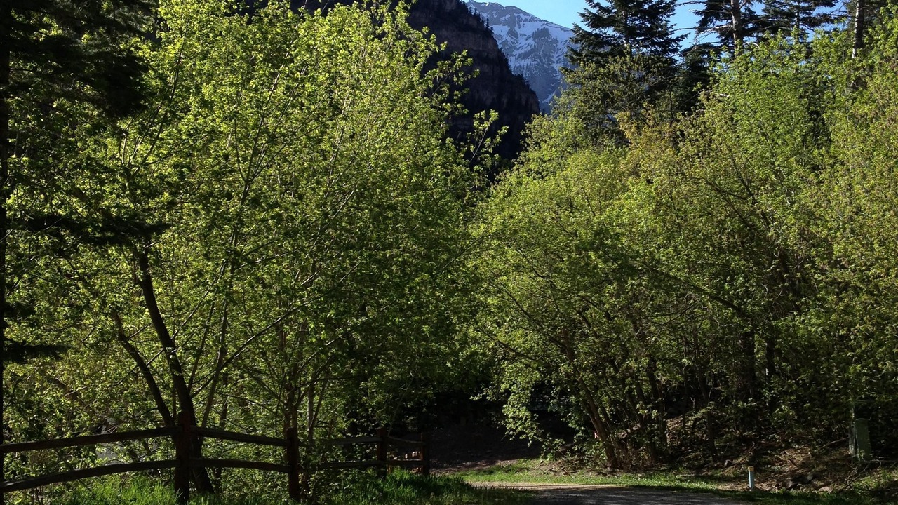 Photo of Others in Ouray