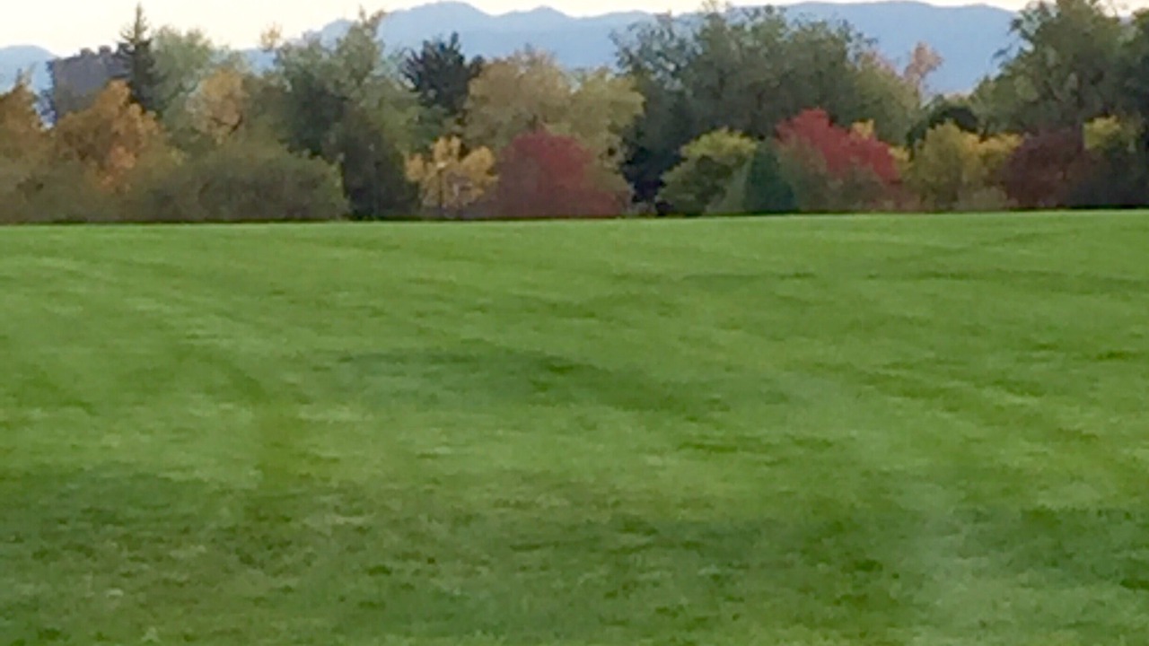 Photo of Others in Country Club