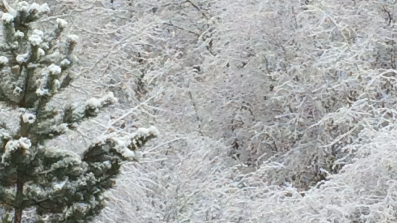 Photo of Others in Steamboat Springs