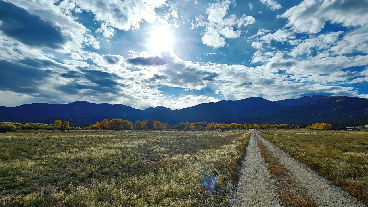 Photo of Others in Buena Vista