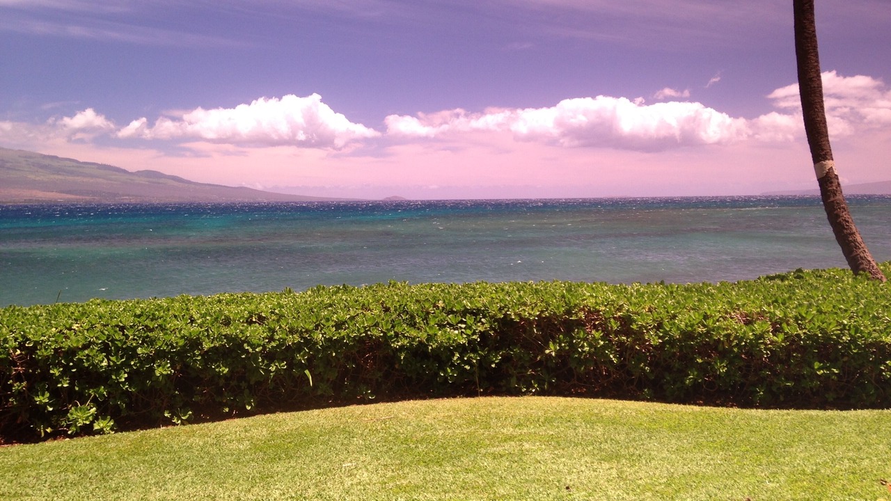 Photo of Others in Maalaea