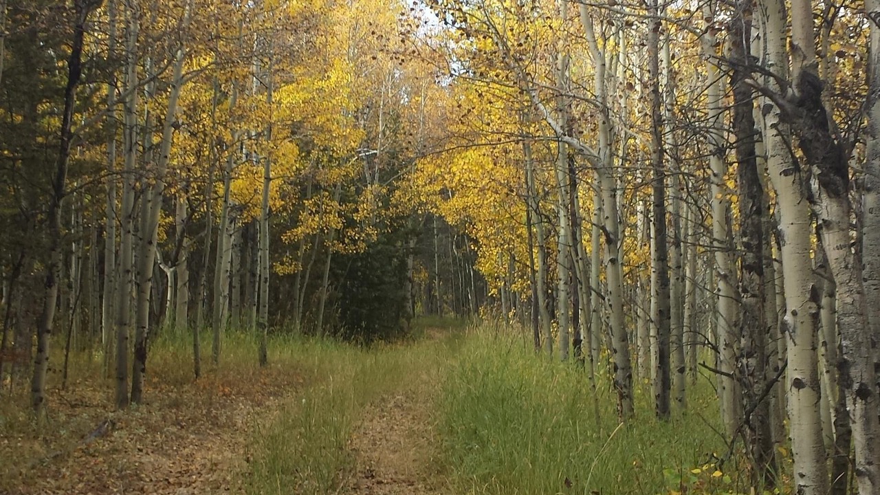 Photo of Outdoor in Black Hawk