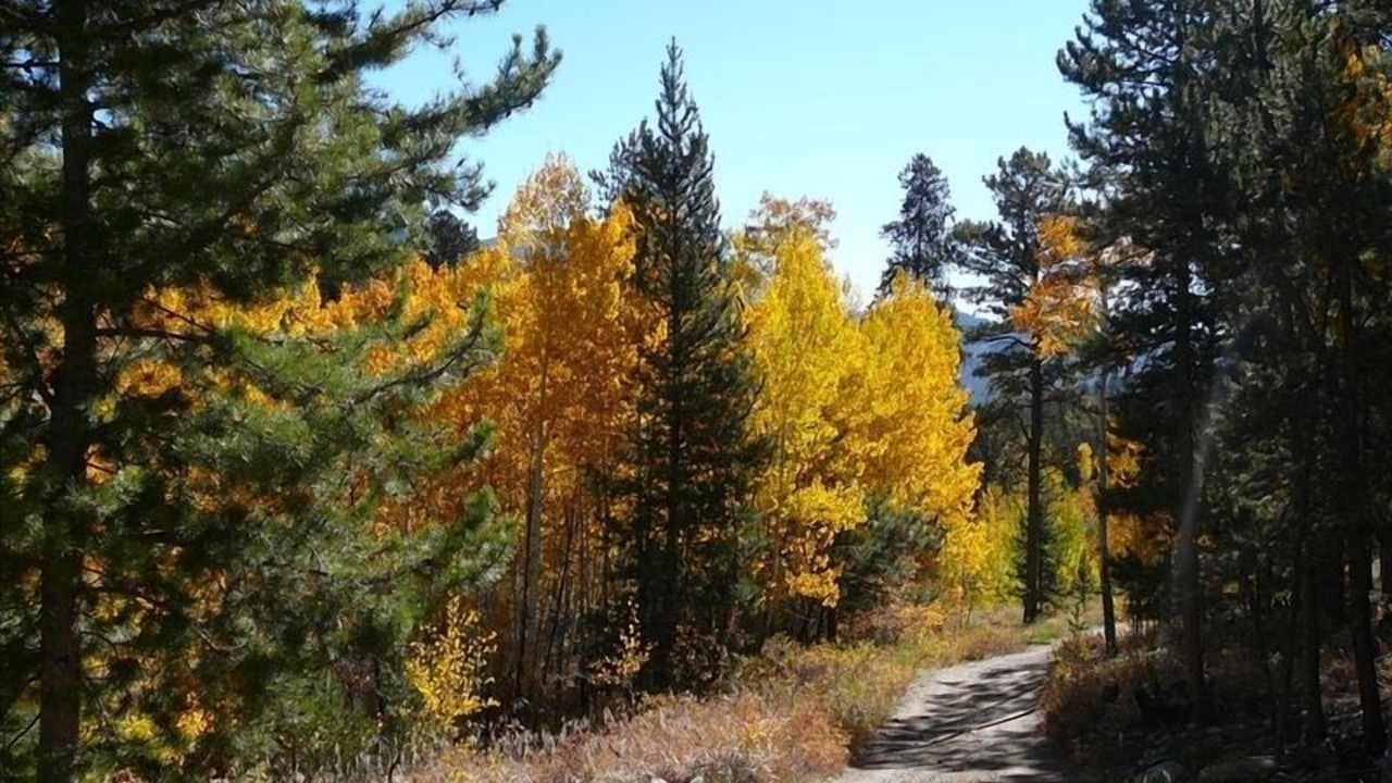 Photo of Others in Buena Vista