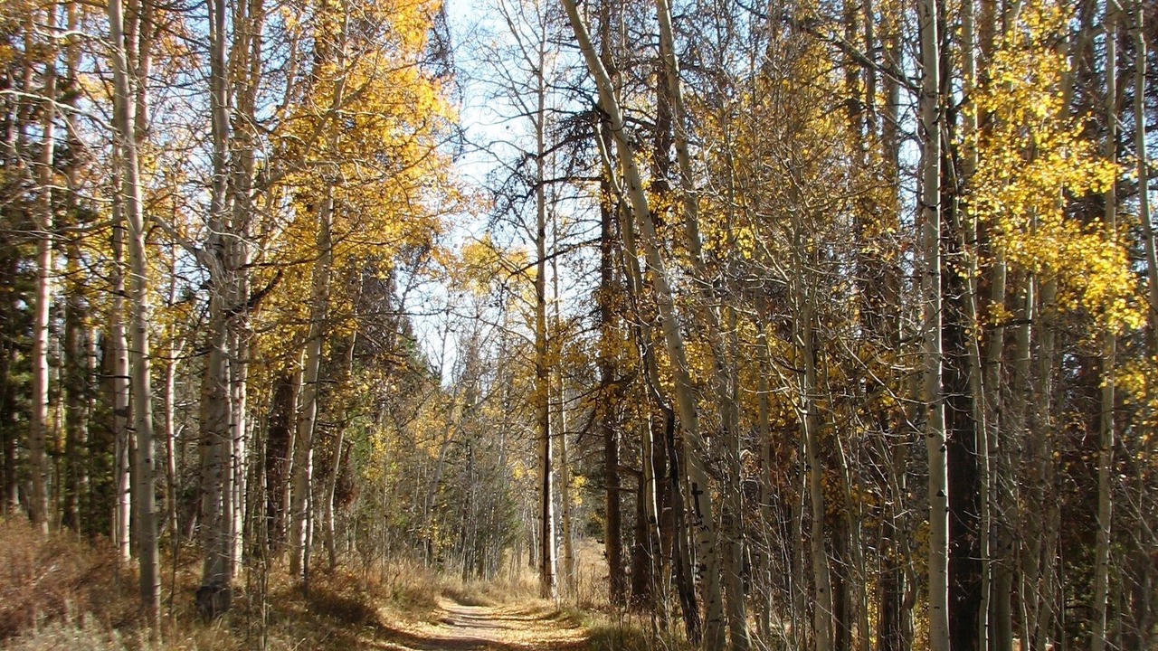 Photo of Others in Wildernest