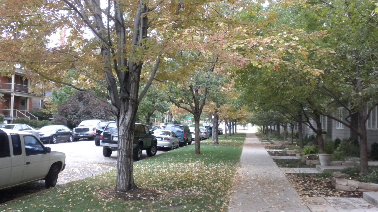 Photo of Outdoor in City Park West