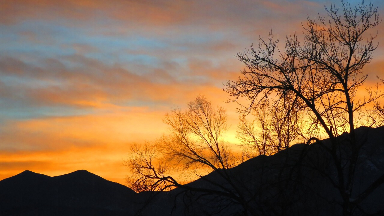 Photo of Others in Colorado Springs