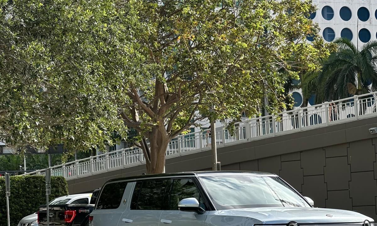 Photo of Outdoor in Coral Way
