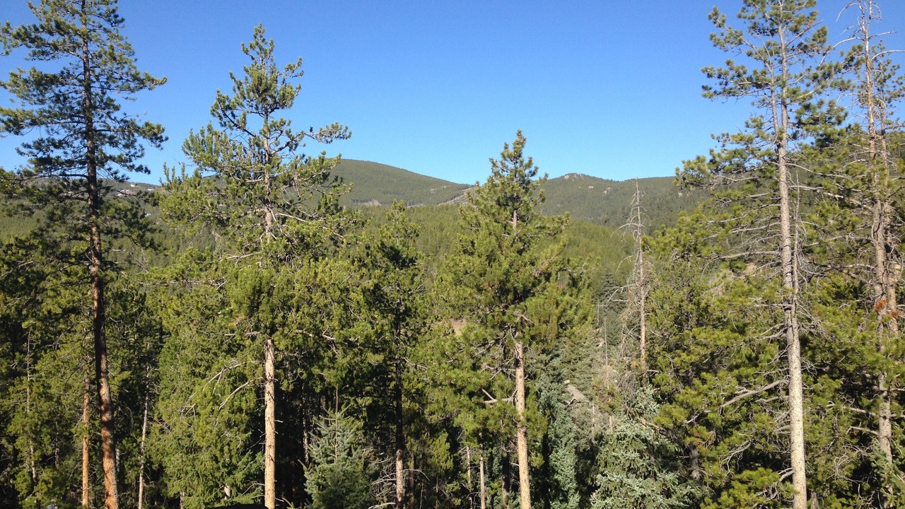 Photo of Others in Shadow Mountain