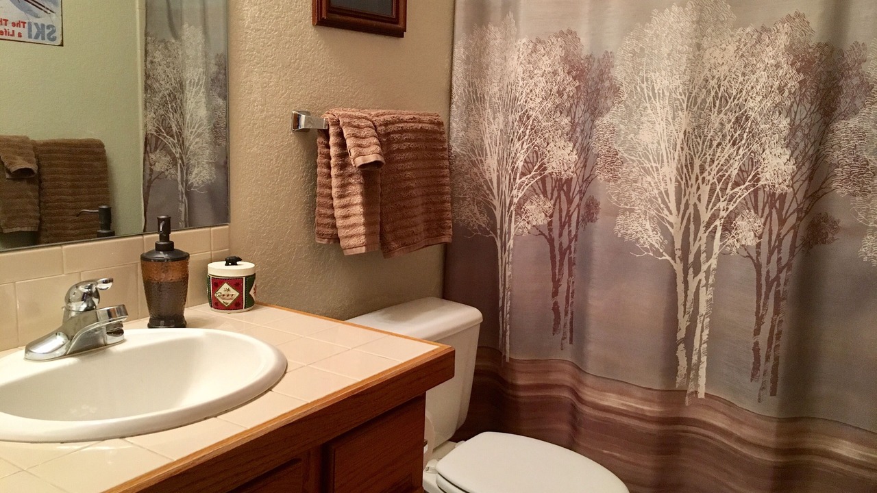 Photo of Bathroom in Shadow Mountain