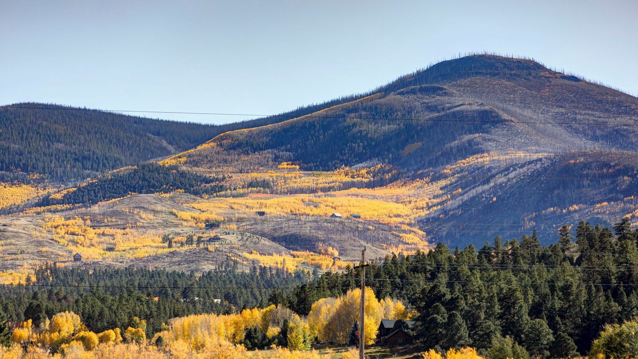 Photo of Others in South Fork