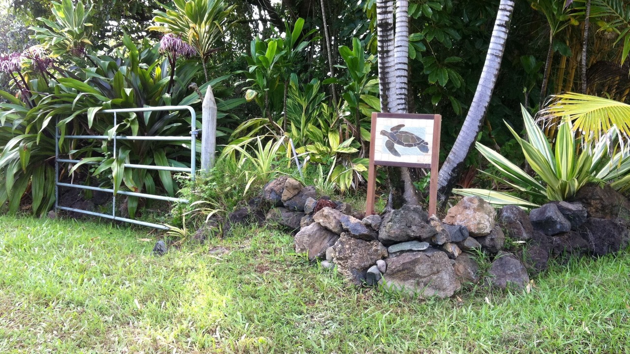 Photo of Others in Hana