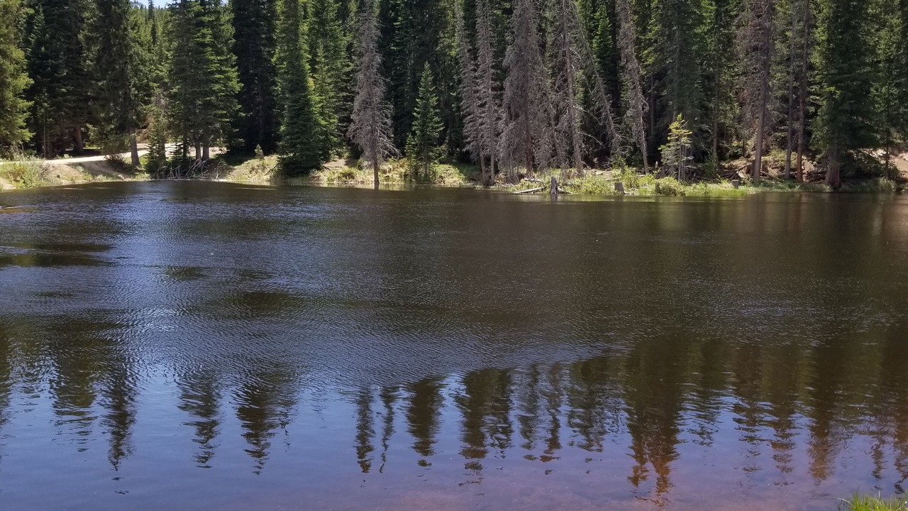 Photo of Outdoor in Red Feather Lakes