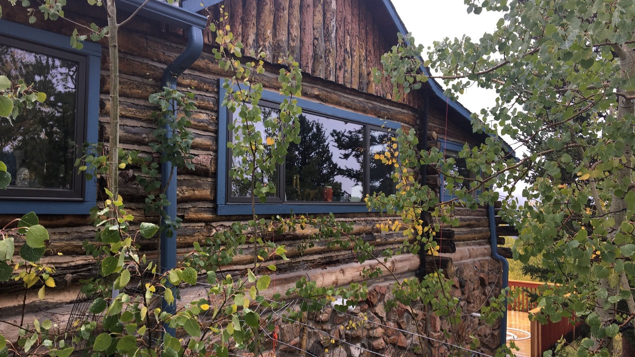 Photo of Outdoor in Bailey