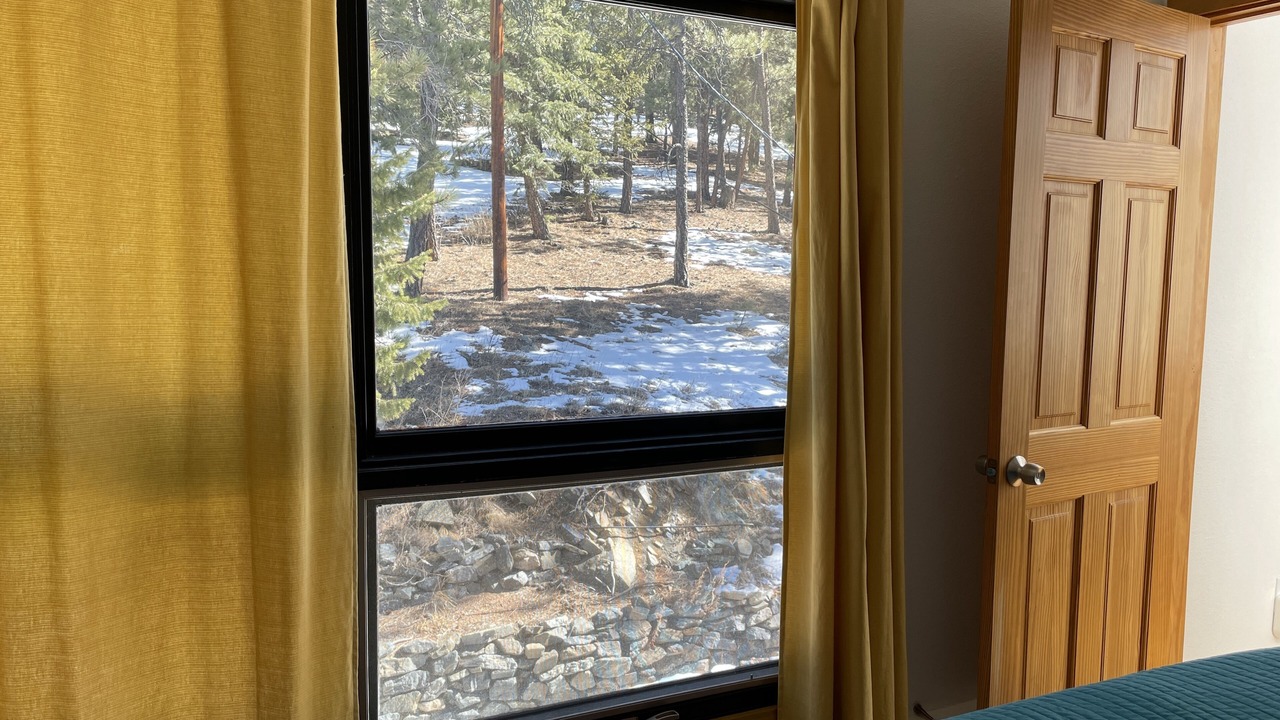 Photo of Others in North Central Evergreen