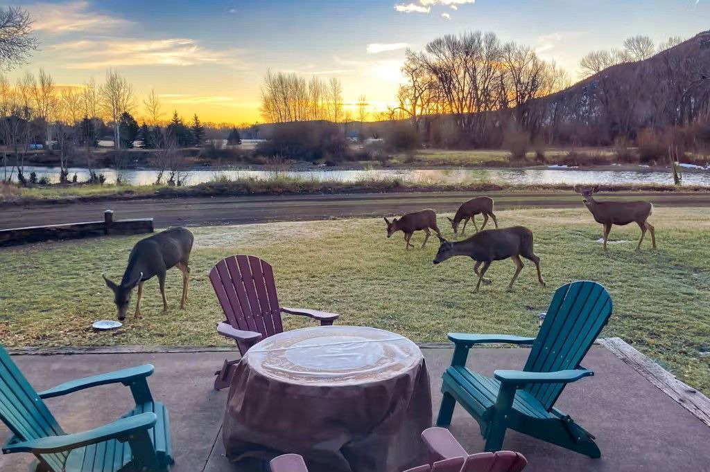 Photo of Outdoor in South Fork