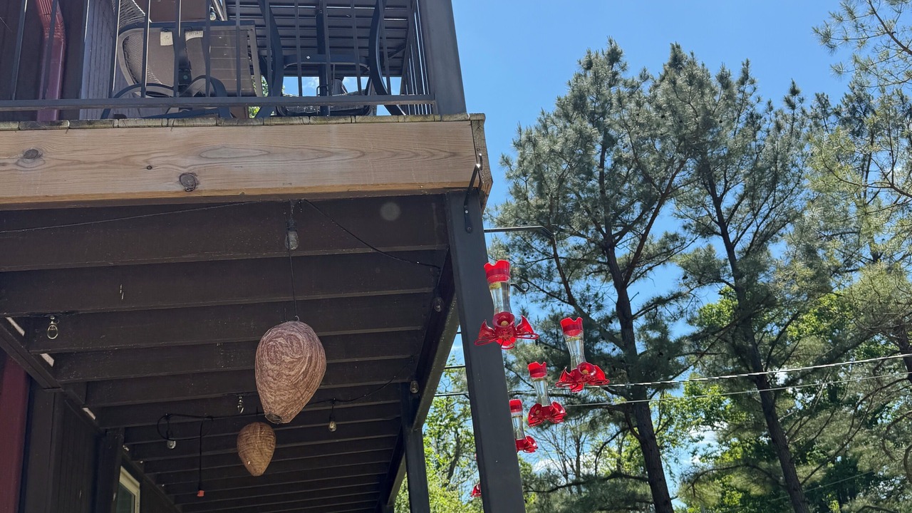 Photo of Patio Balcony in Springdale