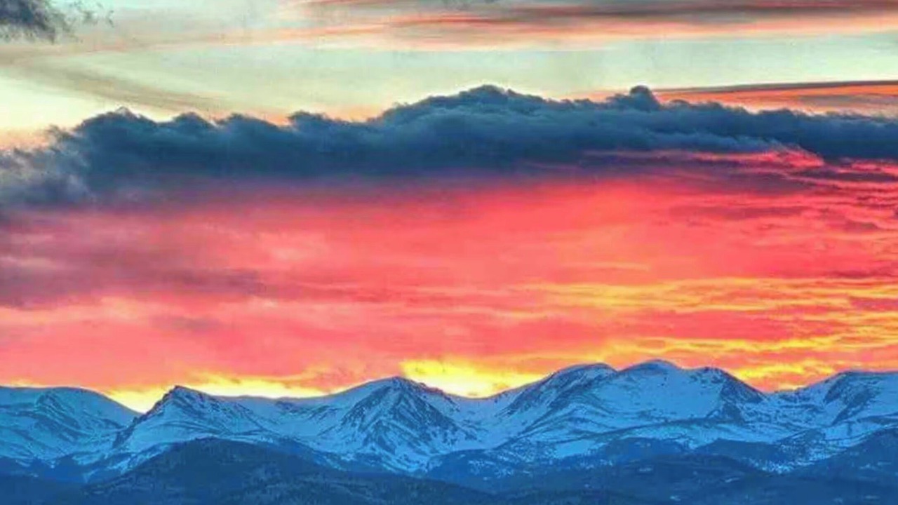 Photo of Others in Golden