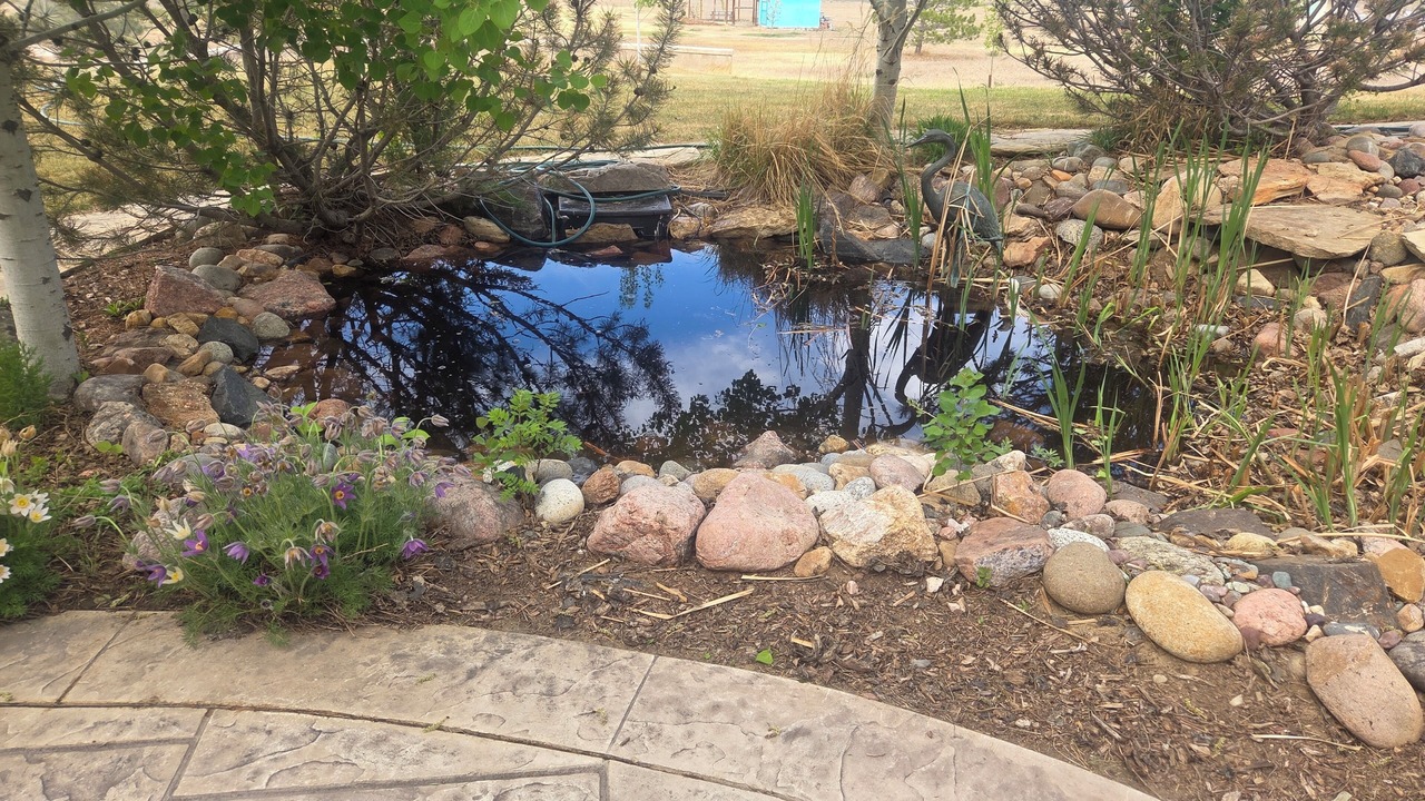 Photo of Outdoor in North Westminster