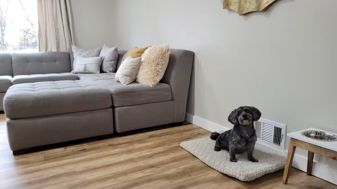Photo of Livingroom in Alta Vista Area