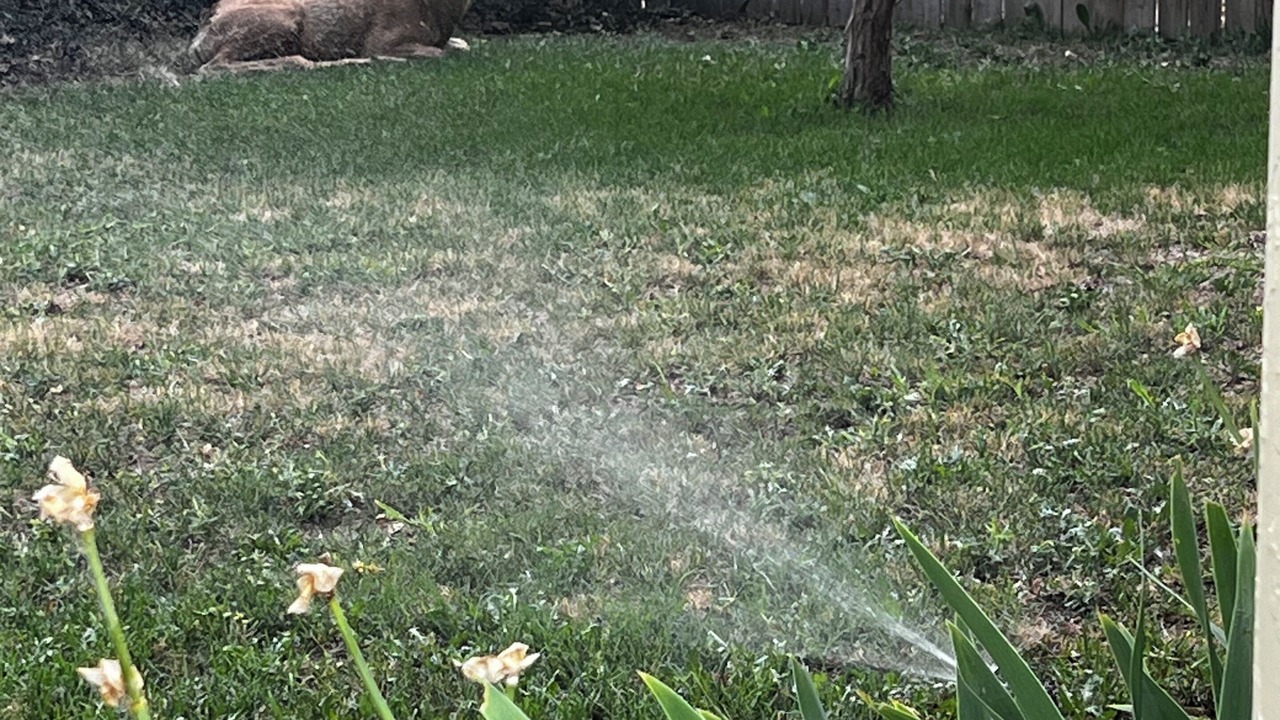 Photo of Outdoor in Canon City