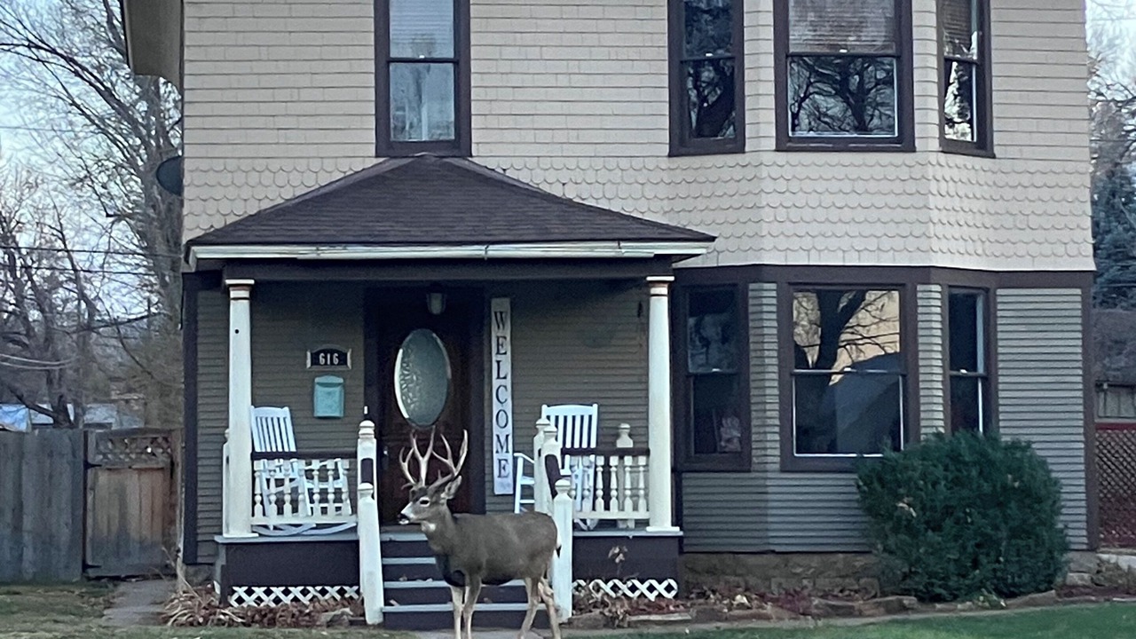 Photo of Others in Canon City