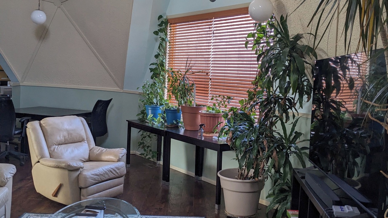 Photo of Livingroom in Pueblo
