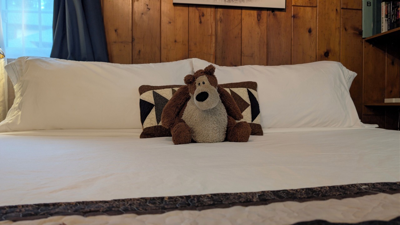 Photo of Bedroom in Evergreen