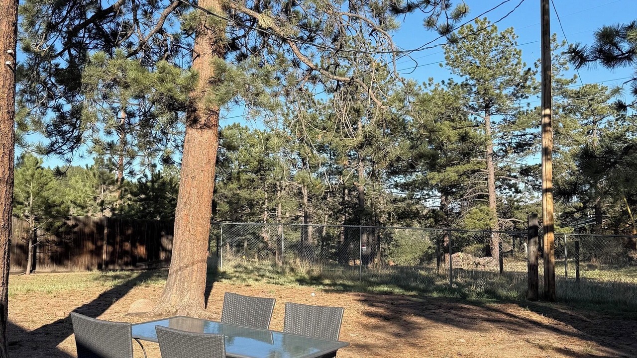 Photo of Outdoor in Pine