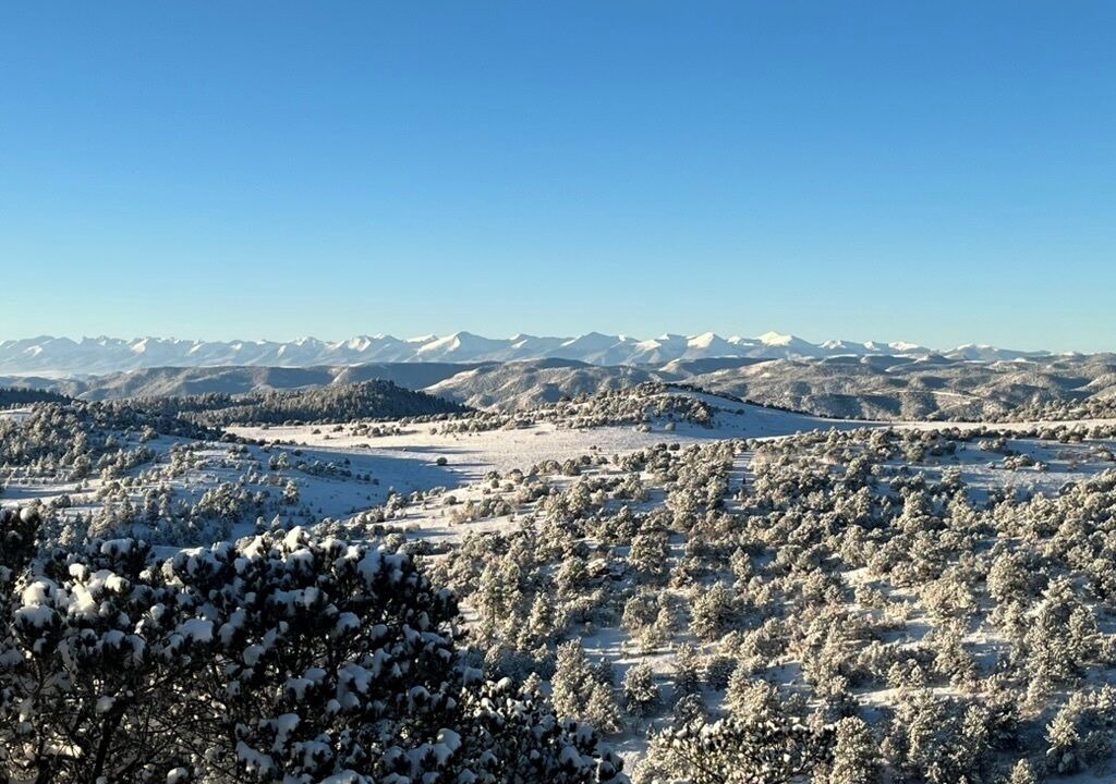 Photo of Others in Canon City