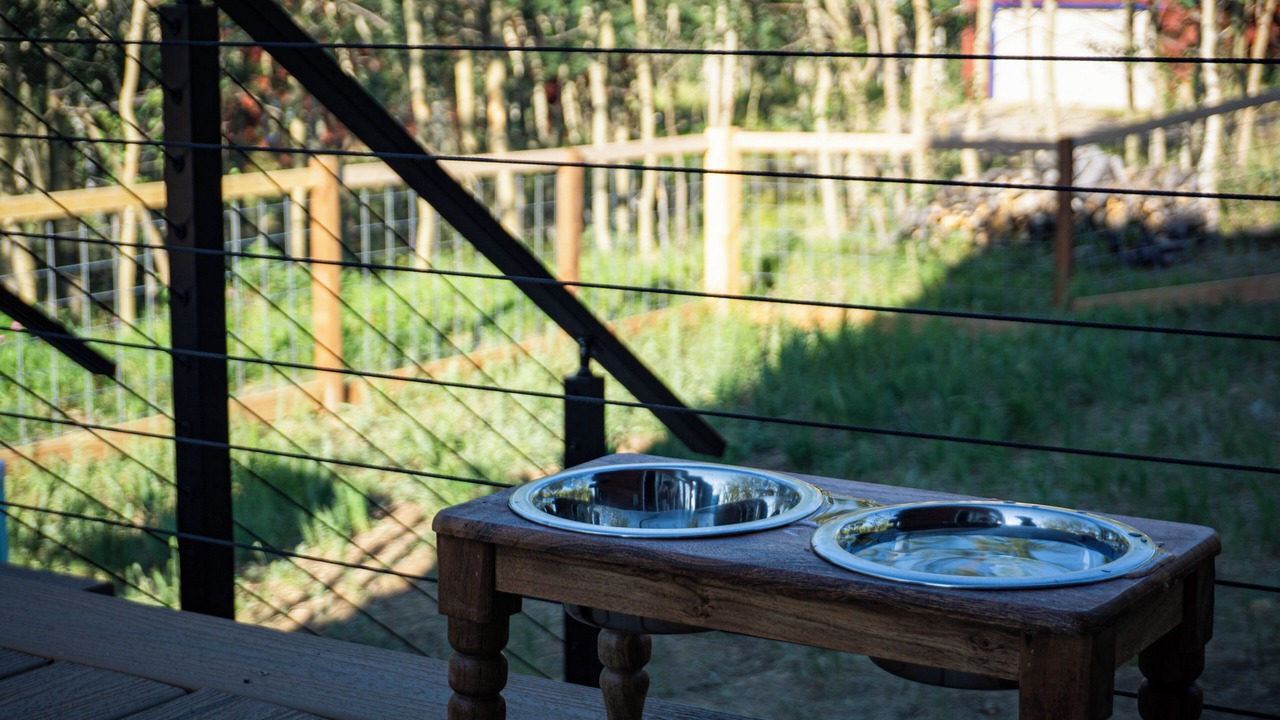 Photo of Outdoor in Warm Springs