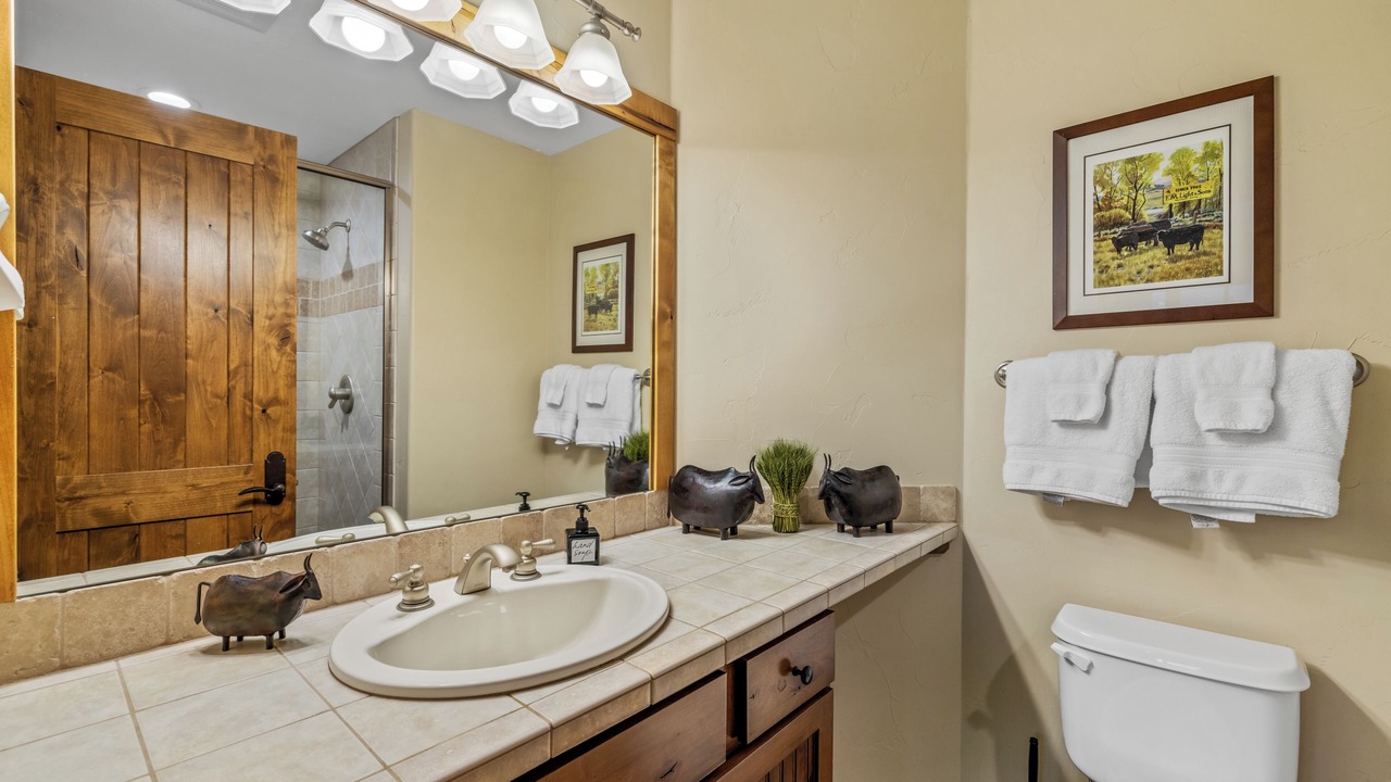 Photo of Bathroom in Steamboat Springs