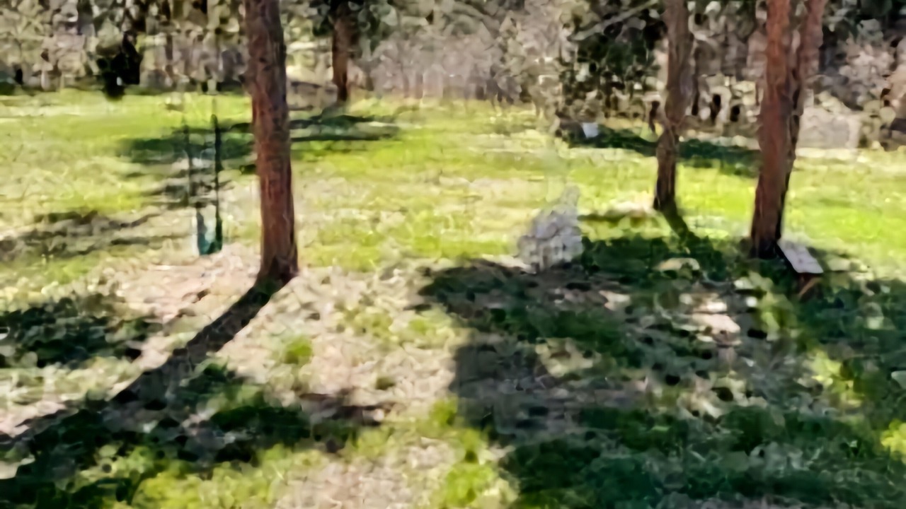 Photo of Outdoor in Larkspur