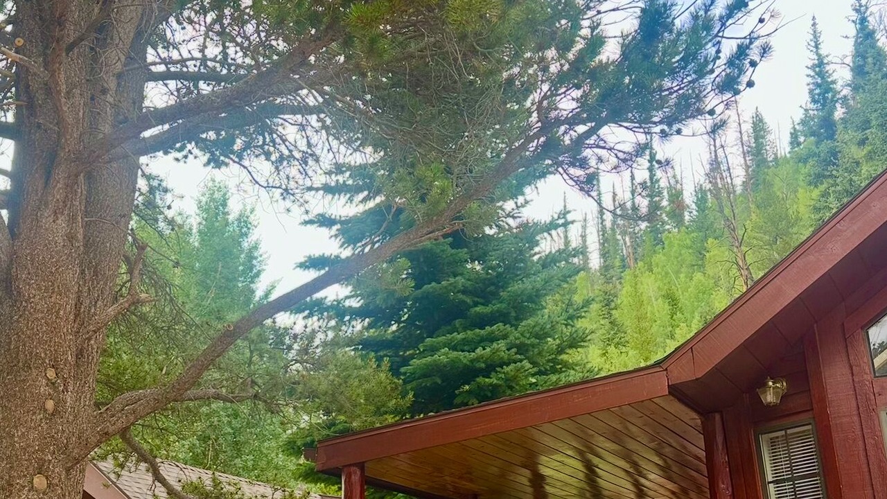 Photo of Outdoor in Braddock Hill