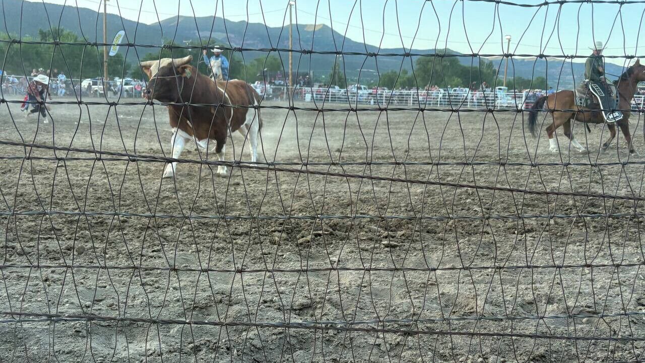 Photo of Others in Cedaredge