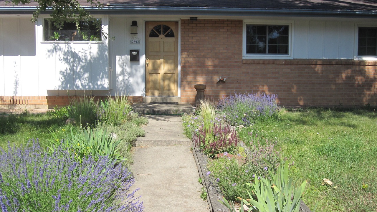 Photo of Outdoor in Martin Acres