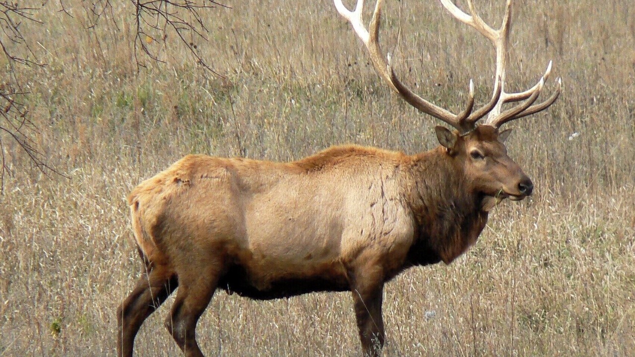 Photo of Others in Fort Garland