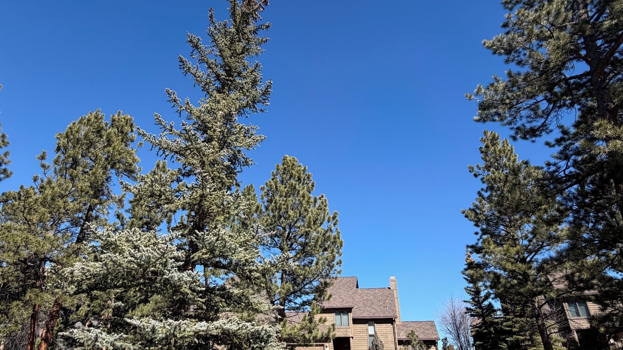 Photo of Outdoor in Red Feather Lakes