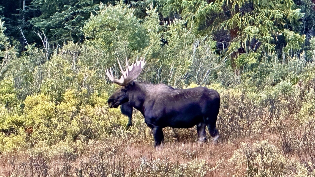 Photo of Others in Breckenridge