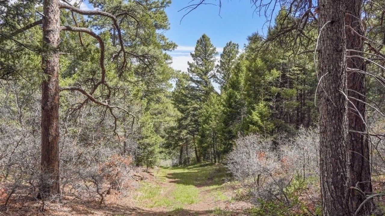 Photo of Others in Larkspur